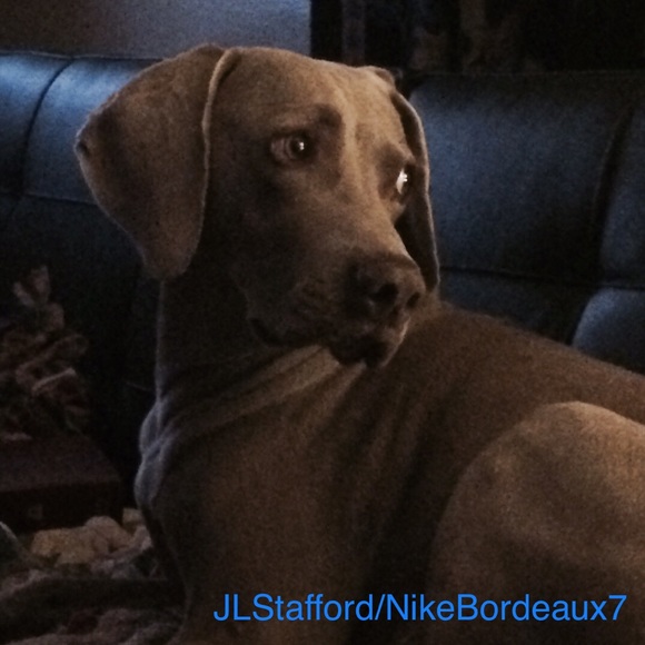 Meet your Posher,Jami,Beulah is my Grandma/Momma❤️ - Picture 4 of 8